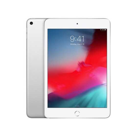 iPad Mini 5 - 256GB SILVER ricondizionato usato IPADMINI5SILVER256WIFIA+