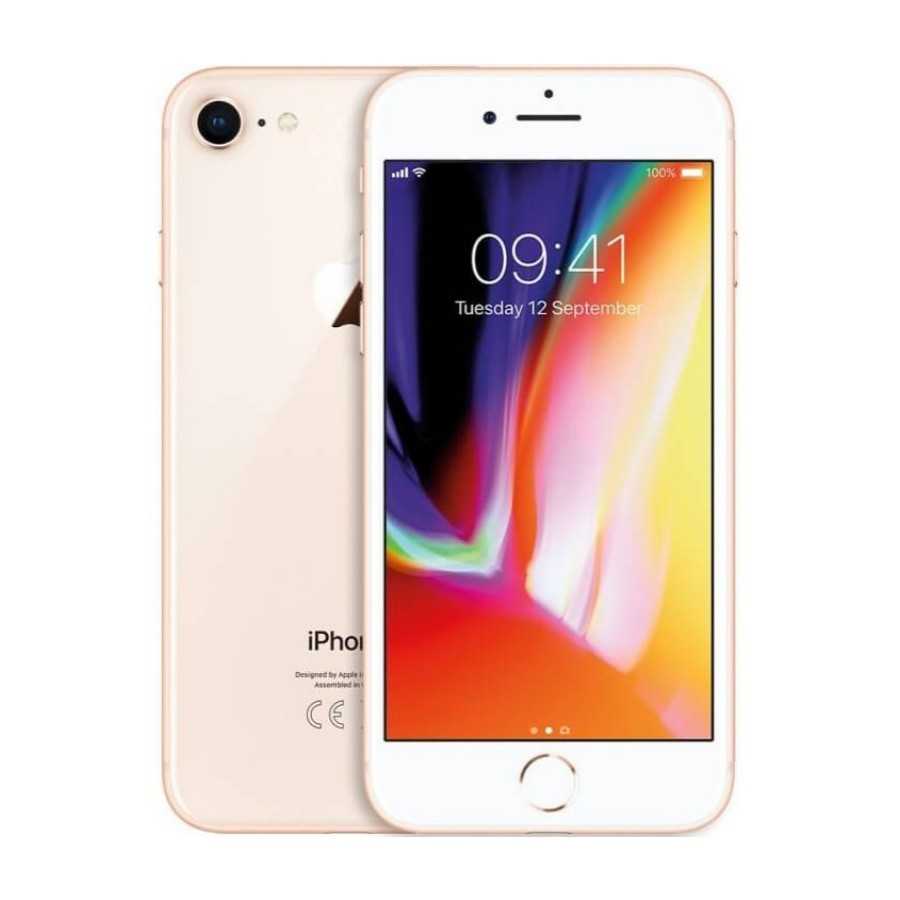 iPhone 8 - 64GB GOLD ricondizionato usato IP8GOLD64A+