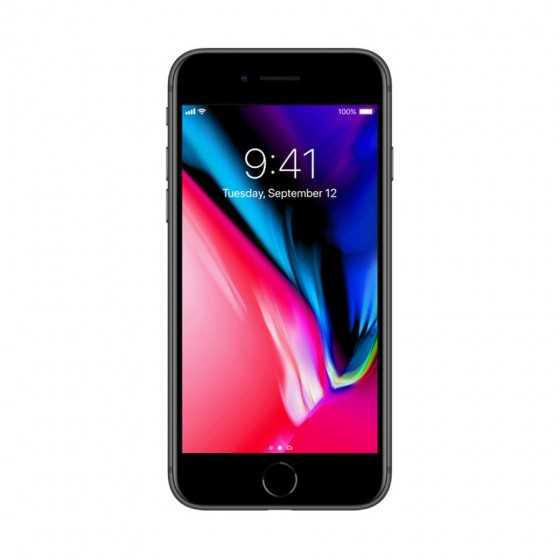 iPhone 8 - 256GB SPACE GRAY ricondizionato usato IP8SPACEGREY256B