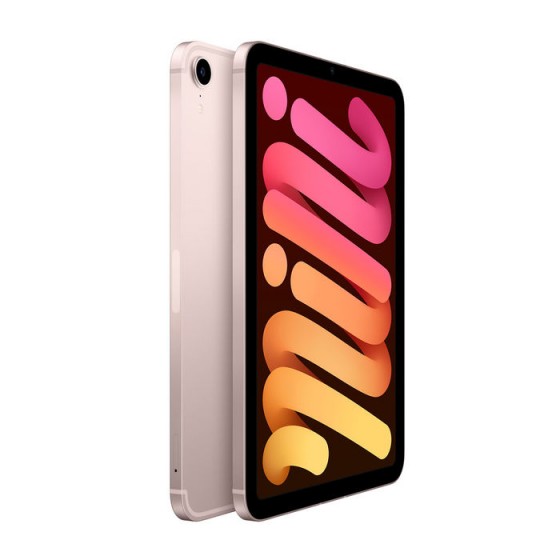 iPad Mini 6 - 256GB Rosa ricondizionato usato MINI6ROSA256CELLC