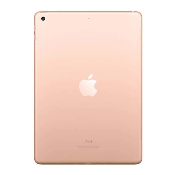 iPad 8 (2020) - 32GB GOLD ricondizionato usato IPAD8GOLD32CELLB