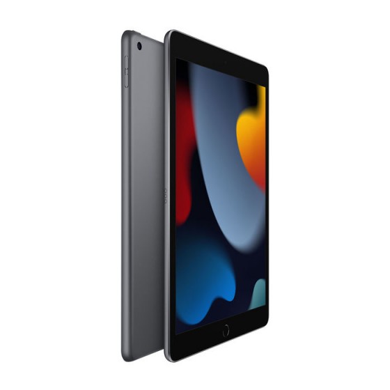 iPad 9 (2021) - 64GB SPACE GRAY ricondizionato usato IPAD9NERO64WIFIA+