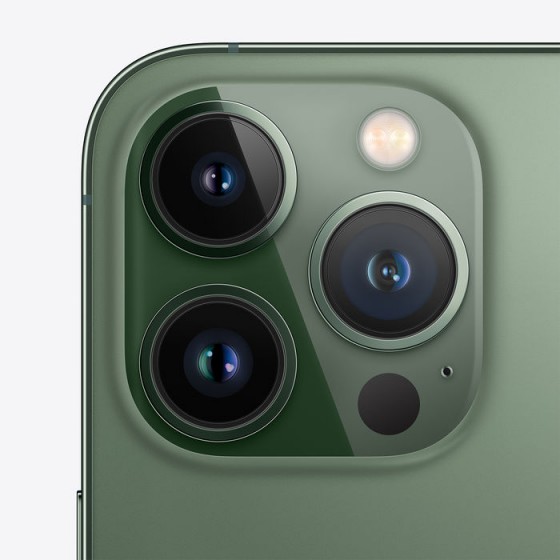 iPhone 13 Pro - 256GB Verde ricondizionato usato 13PROVERDE256A+