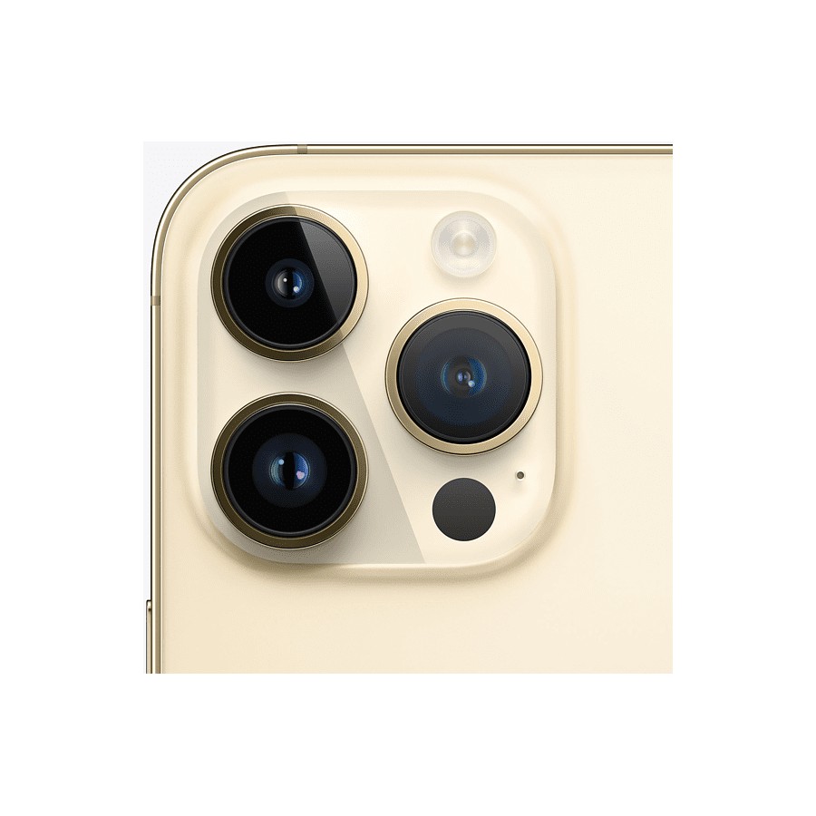 iPhone 14 Pro - 256GB Oro ricondizionato usato 14PRO256OC