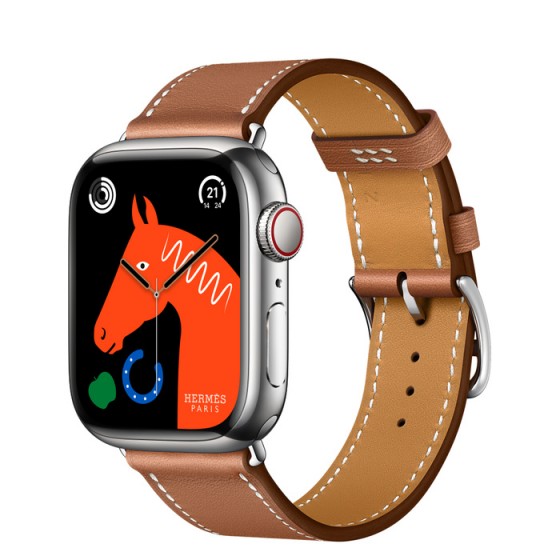 Apple Watch 7 - HERMÈS Stainless Silver