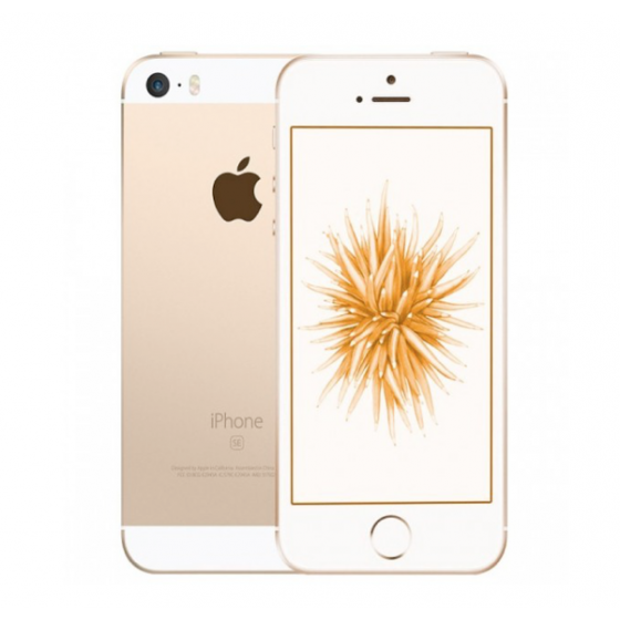 iPhone SE - 16GB GOLD ricondizionato usato IPSEGOLD16C