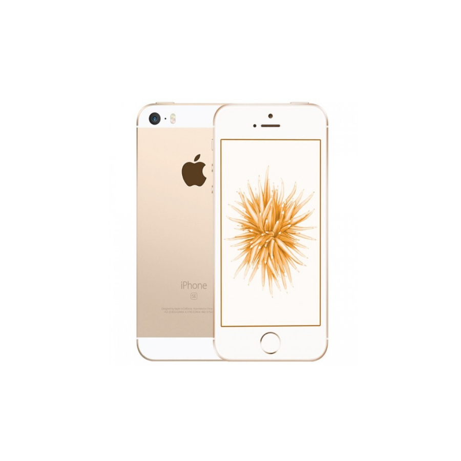 iPhone SE - 64GB GOLD ricondizionato usato IPSEGOLD64AB