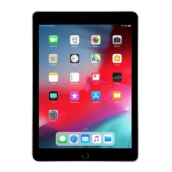 iPad 6 (2018) - 128GB SPACE GRAY ricondizionato usato IPAD6SPACEGRAY128WIFICELLULARB